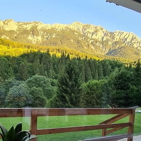Pensiune Subcrai Cu Centru Spa Zărneşti Exterior foto