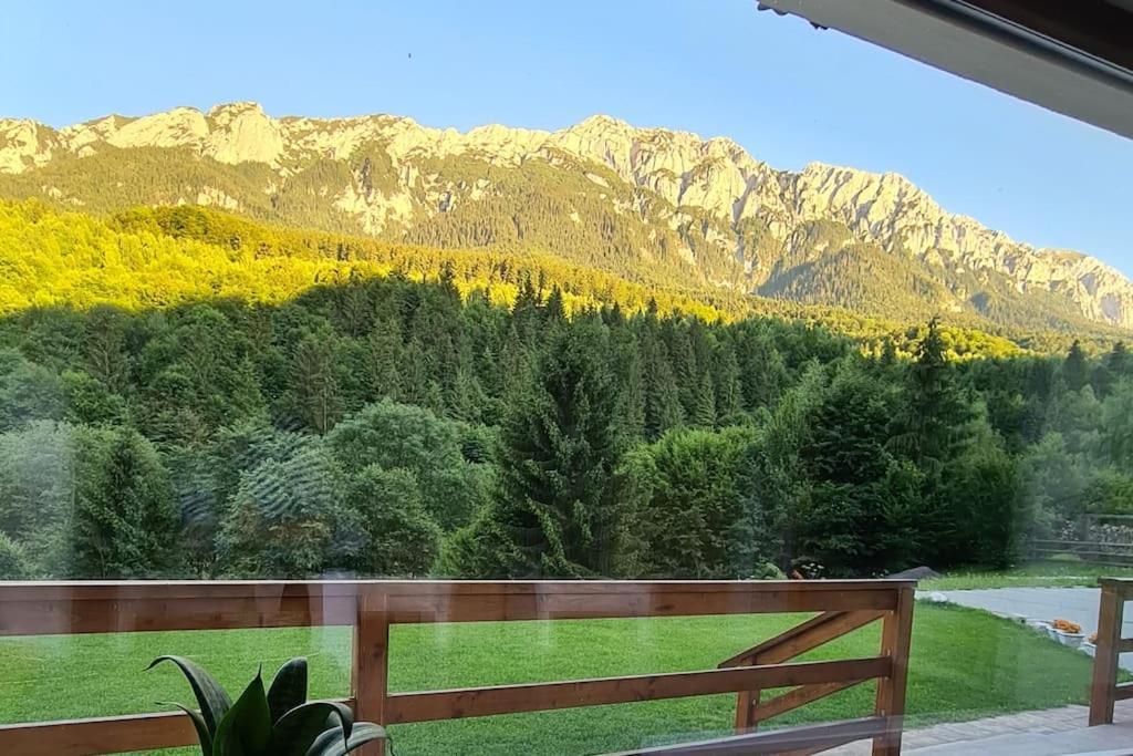 Pensiune Subcrai Cu Centru Spa Zărneşti Exterior foto